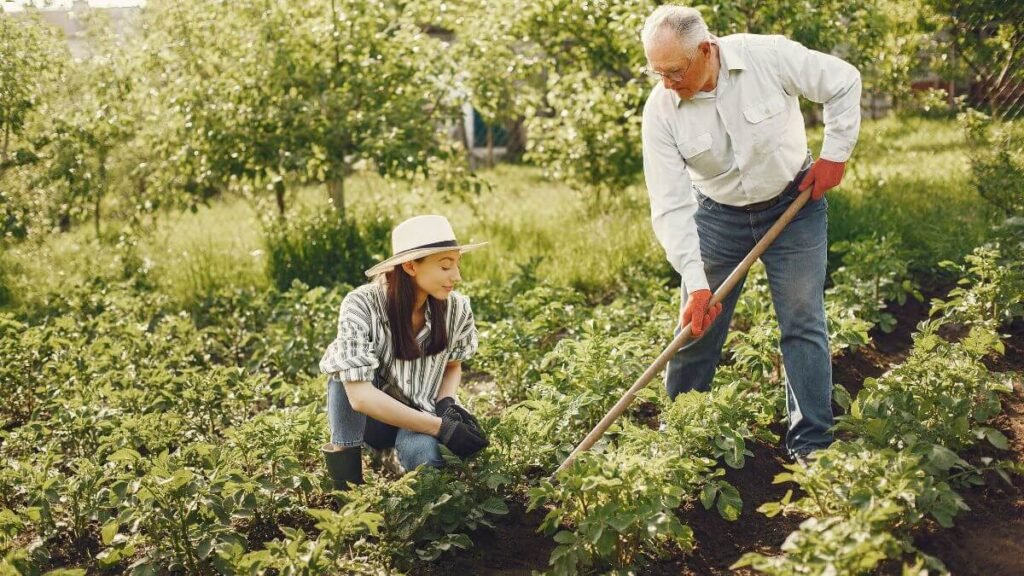 gardening